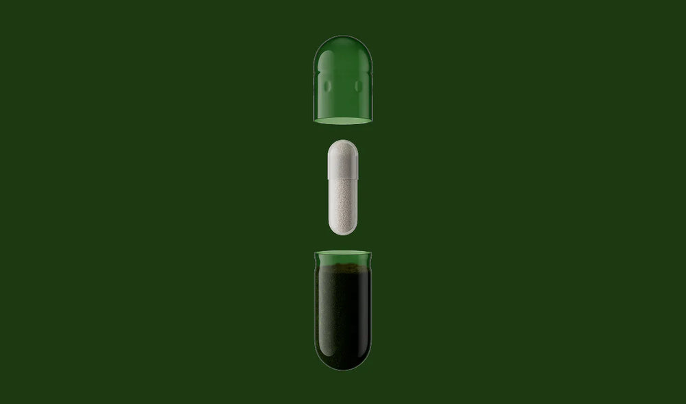Seed DS-01® Daily Synbiotic-24-Strain Probiotic + Prebiotic for Daily Gut Health